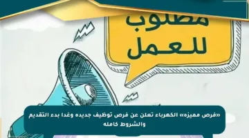 «فرص مميزة» الكهرباء تعلن عن فرص توظيف جديدة وغدا بدء التقديم والشروط كاملة